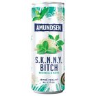 Amundsen S.K.N.N.Y Bitch (4,5%) plech | 250 ml