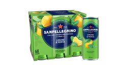 San Pellegrino Limone Menta 33cl 6-p