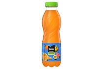 Cappy Ice Fruit Multivitamin Non-Carbonated Mixed Fruit Drink with Mangosteen Flavour 500 ml