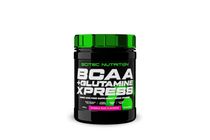 BCAA + Glutamine Xpress 300 g mojito