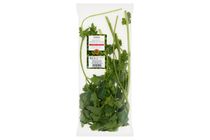 Tesco metélőpetrezselyem 50 g