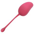 Tréninková kulička - Gym Ball (LD.0404600404) | 1 kus