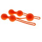 Venušiny kuličky set - Ara (LD.0406100113) | 1 balení