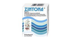 Zintona Kapseln 10 Stk.