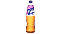 Fun Light Fruktfest | 0.8l