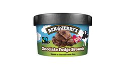 Ben & Jerry's Chocolate Fudge Brownie 100ml
