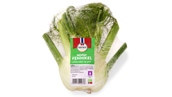 FENNIKEL STK