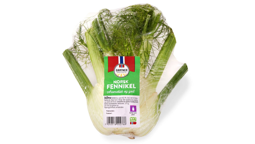 FENNIKEL STK