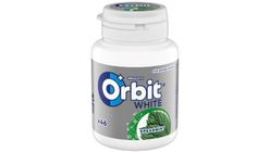 Orbit White Spearmint Bottle 64 g