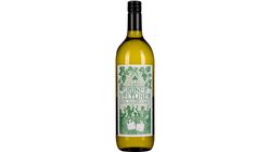 WEIN & CO Grüner Veltliner 1l 2025