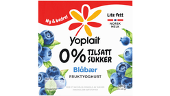 Yoplait Double 0% Yoghurt Blåbær | 4 x 125g
